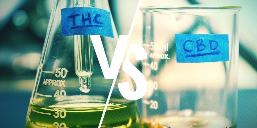 THC ja CBD: mitä eroa niillä on? THC ja CBD: mitä eroa niillä on?
