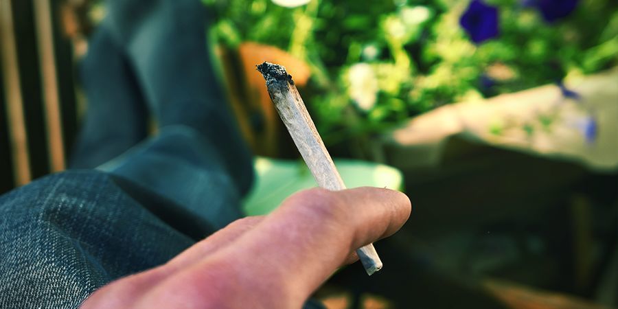 Paukuissa/pilvessä BAKED/BLAZED Cannabis