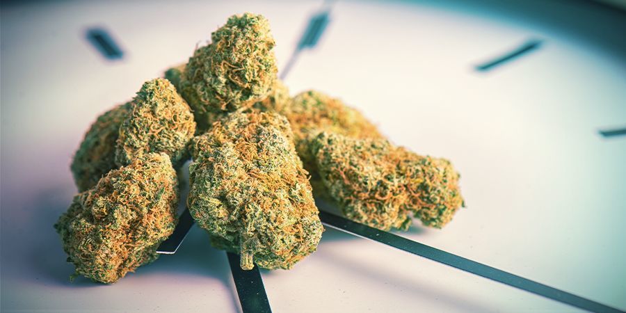 Kuinka kauan kannabiksen päihtymys kestää? KUINKA KAUAN KANNABIKSEN PÄIHTYMYS KESTÄÄ?