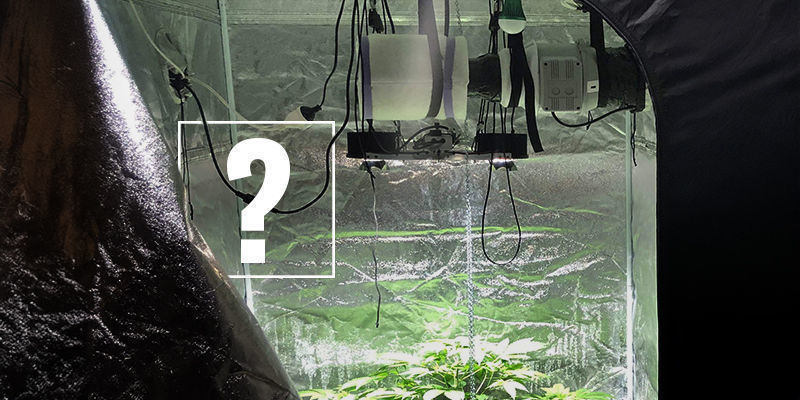 Miksi käyttää hiilisuodatinta kannabista kasvattaessa? Miksi käyttää hiilisuodatinta kannabista kasvattaessa?