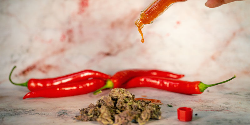 Kuinka yhdistää tuliset paprikat ja kannabis ruoassa Kuinka yhdistää tuliset paprikat ja kannabis ruoassa