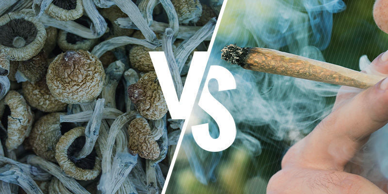 Sienien polttamisen ja syömisen vaikutukset THE EFFECTS OF SMOKING VS EATING SHROOMS