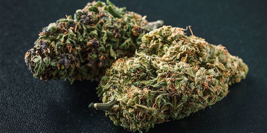 Minkä värisiä kannabiksen kukinnot voivat olla? Minkä värisiä kannabiksen kukinnot voivat olla?