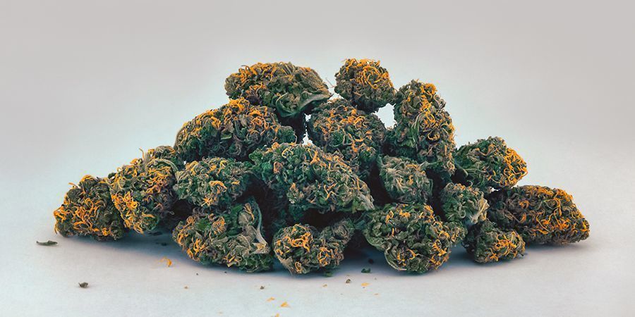 Keltainen/oranssi (karotenoidit) Keltaiset/oranssit (karotenoidit) kannabiksen kukinnot