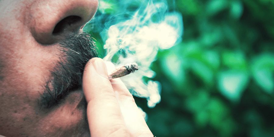 Voit polttaa koko jointin YOU CAN SMOKE THE WHOLE JOINT