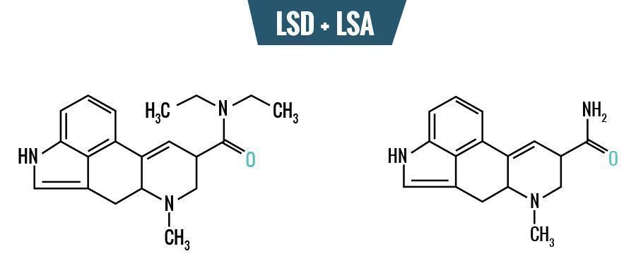 LSD vs. LSA – ero