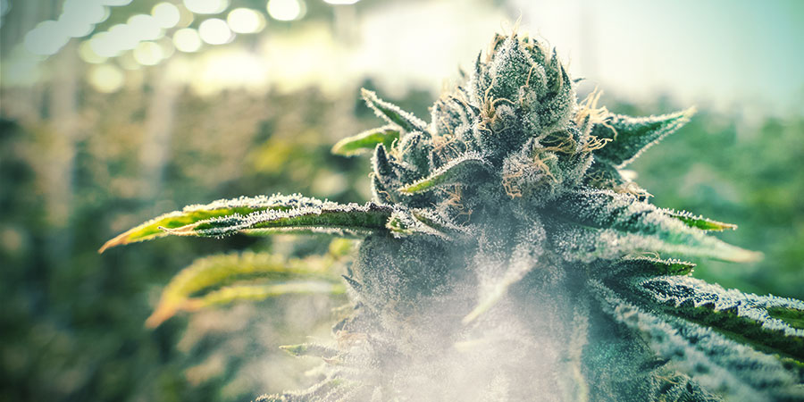 CO2 CO2