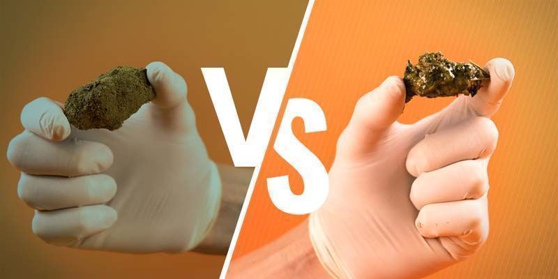 Moon Rocks vs. cannabis caviar Moon Rocks Vs Cannabis Caviar