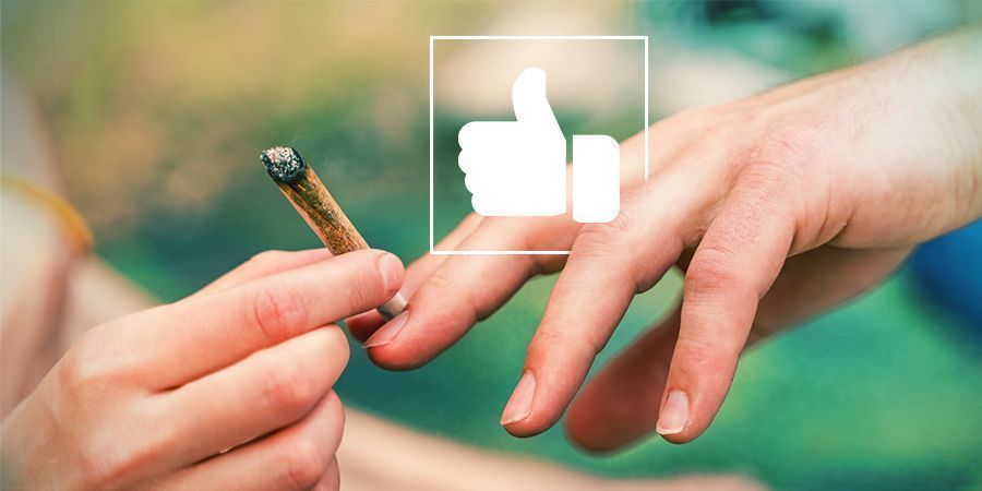 Passaa spliffi ja kerro sitten tarinasi Pass The Spliff, Then Tell Your Story