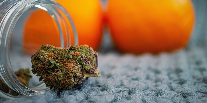 Onko sinulla kannabista, mutta ei tapaa polttaa sitä? Ei hätää! Onko sinulla kannabista, mutta ei tapaa polttaa sitä? Ei hätää!