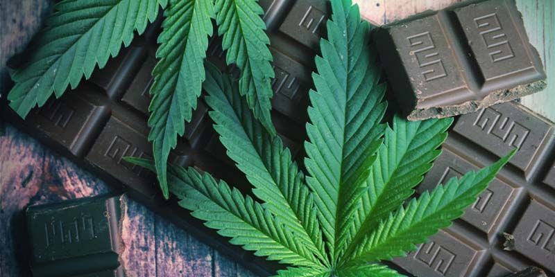 Marijuanasyötävien perusteet Marijuanasyötävien perusteet