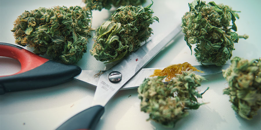 GG#4:n historia GG#4:n historia