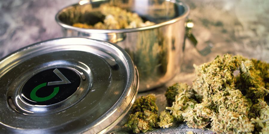 Kosteuta kannabiksen kukinnot uudelleen: kannabiskostuttimet Kosteuta kannabiksen kukinnot uudelleen: kannabiskostuttimet