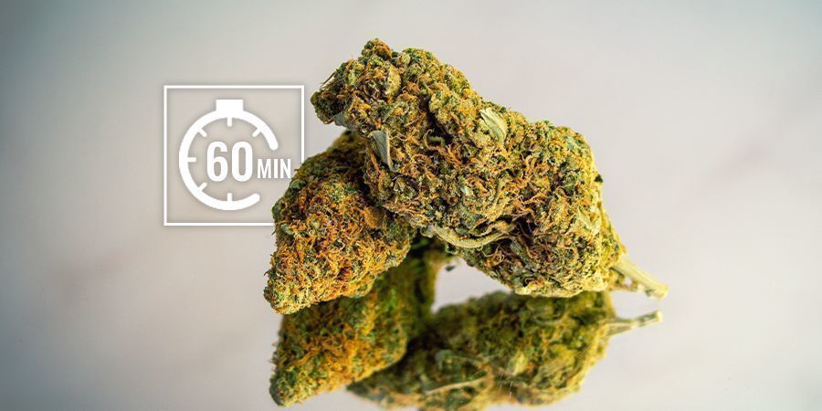 Lyhyellä aikavälillä (tunneissa) Rehydrate your cannabis buds: lyhyellä aikavälillä (tunneissa)