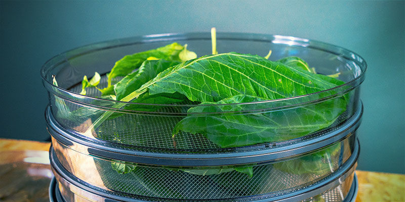 Ruoankuivuri FOOD DEHYDRATOR
