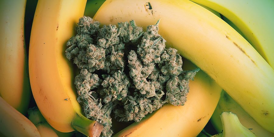 Bananan taustan avaaminen
