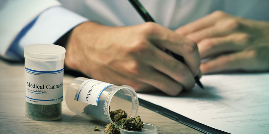 Kannabis tekee tuloaan lääketieteen kentälle Cannabis Is Breaking Into The Field Of Medicine