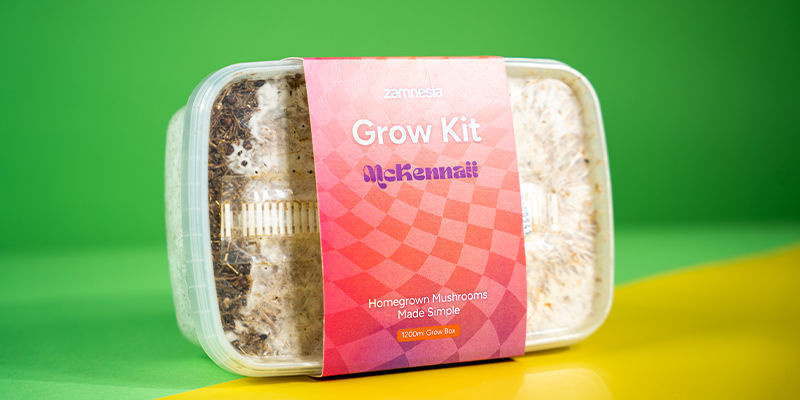 Fresh Mushrooms Grow Kit “McKennaii” Fresh Mushrooms Grow Kit “McKennaii”