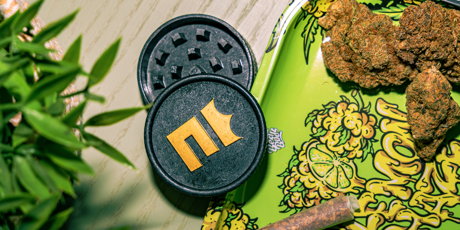 Biohajoava hamppugrinderi: Zamnesia Biodegradable Hemp Grinder: Zamnesia