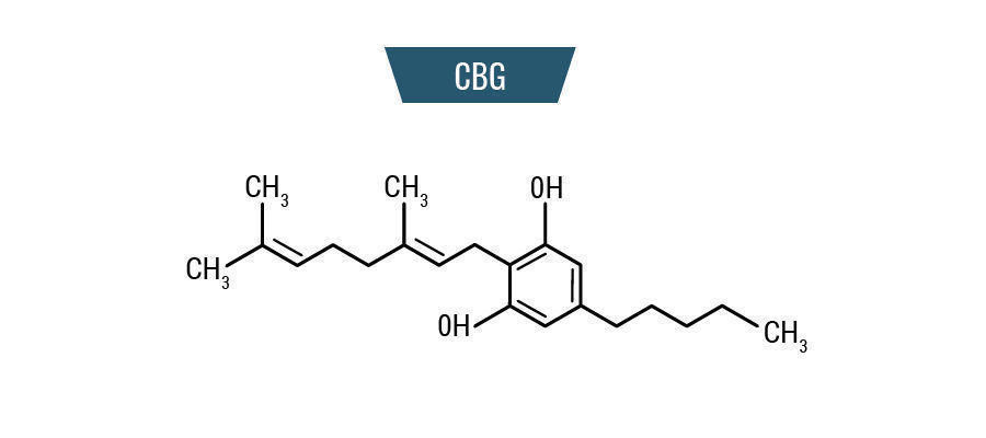 CBG-molekyyli CBG Molecule