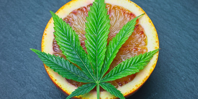 Näin kuohkeutat kuivan brick weedin HOW TO FLUFF UP YOUR STALE BRICK WEED