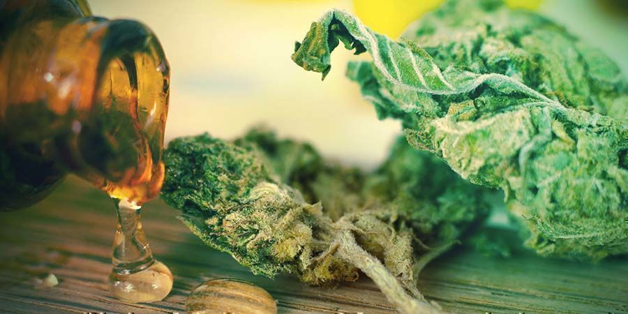 Höyrystyslämpötila puhtaalle THC-öljylle Höyrystyslämpötila PURE THC OIL