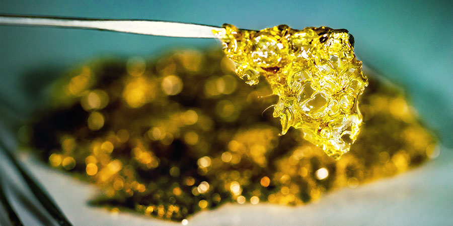Miten BHO:ta tehdään kannabiksesta