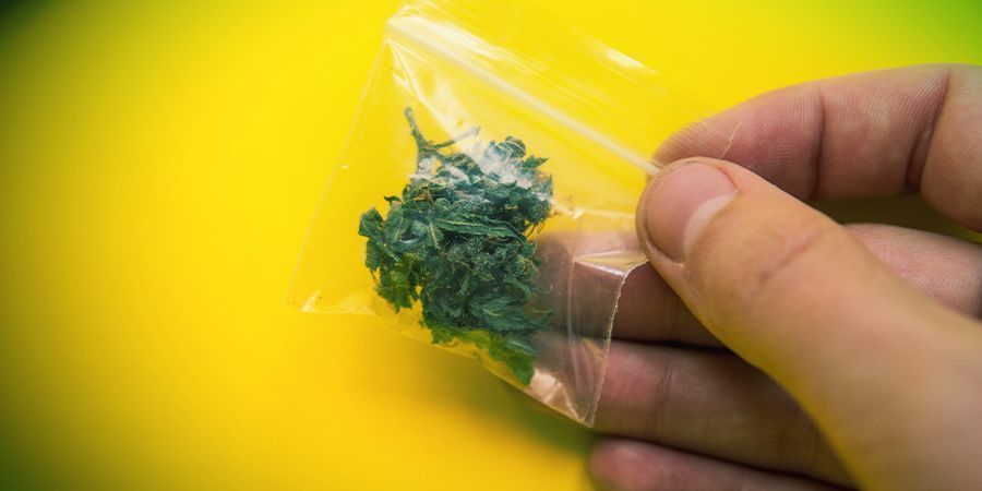 Vinkkejä kannabiksen hajun piilottamiseen julkisesti Vinkkejä kannabiksen hajun piilottamiseen julkisesti