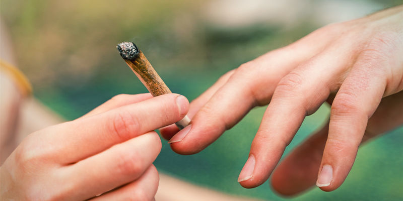 Mik&auml; endokannabinoidij&auml;rjestelm&auml; oikeastaan on?