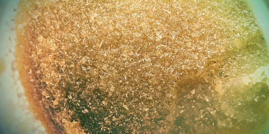Kannabisuute: Iceolator – täysmelt bubble hash