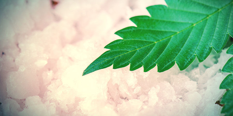 Kannabisuute: CBD-kiteet