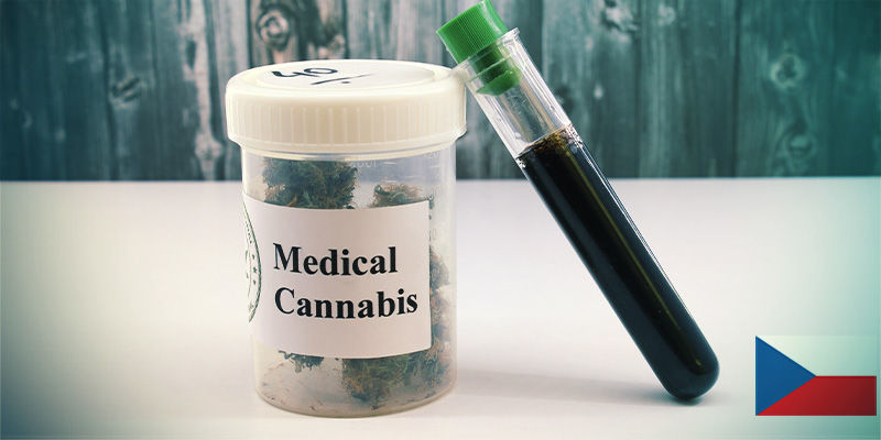 Rentoudu kannabiksen kanssa Tšekin tasavallassa RENTOUDU KANNABIKSEN KANSSA TŠEKIN TASAVALLASSA