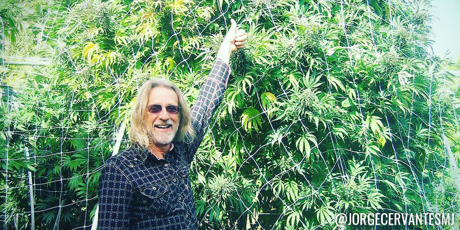 Jorge Cervantes Jorge Cervantes - Instagram