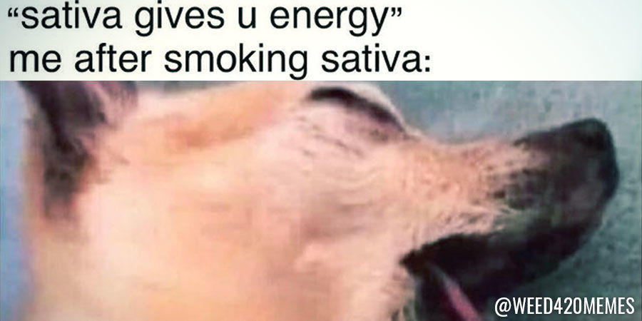 Weed 420 -memet Weed 420 Memes - Instagram