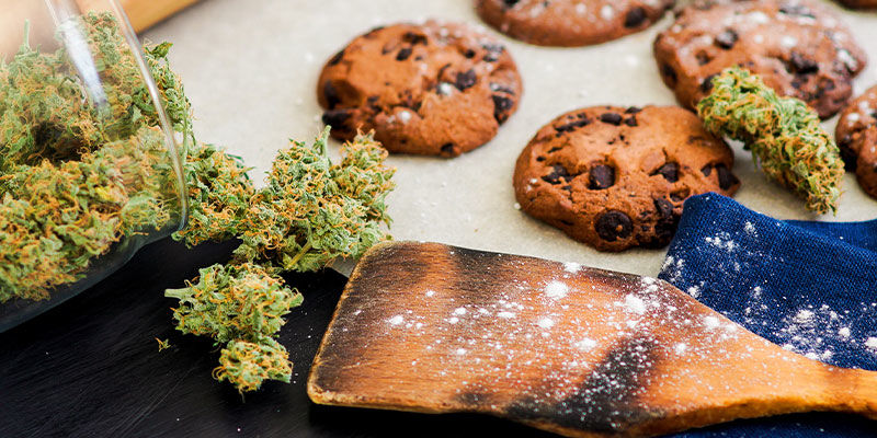 Voiko kannabis aiheuttaa painonnousua? Voiko kannabis aiheuttaa painonnousua?
