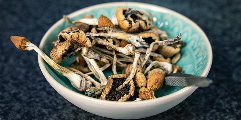 Kuivattuja taikasieniä Dried magic mushrooms
