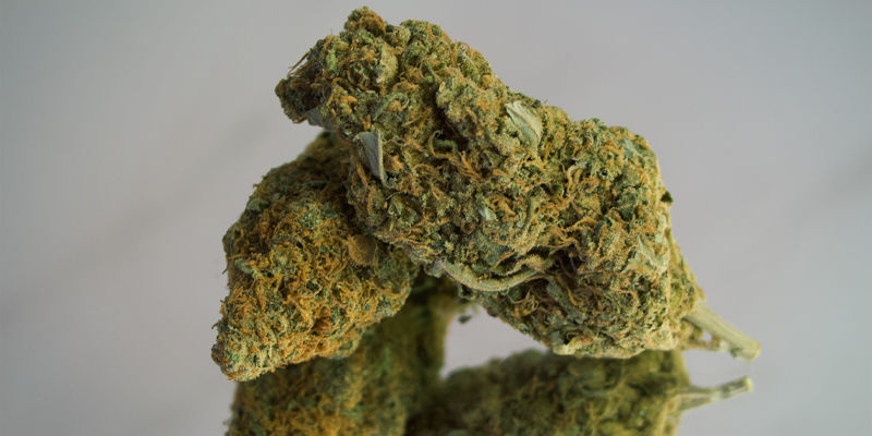 Kannabis