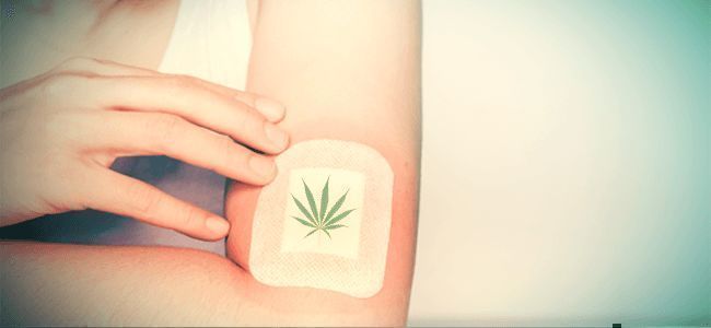 Kannabiksen paikallisvalmisteet ja kosmetiikka Kannabiksen paikallisvalmisteet ja kosmetiikka