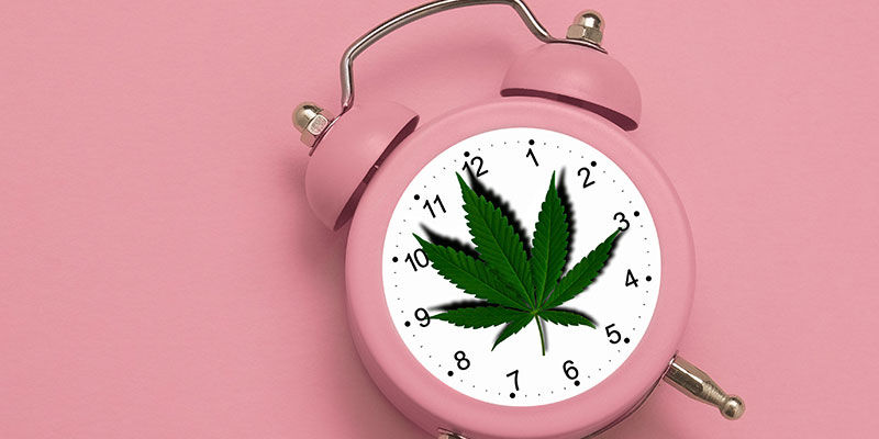 Kuinka kauan THC-metaboliitit pysyvät elimistössäsi? Kuinka kauan THC-metaboliitit pysyvät elimistössäsi?
