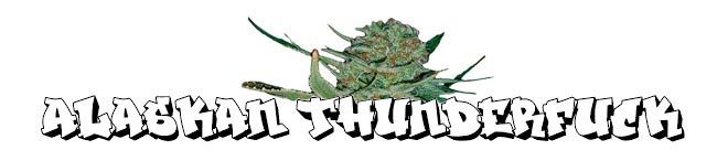 Alaskan Thunderfuck – GeneSeeds