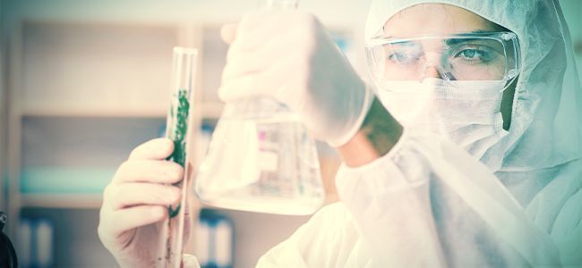 Jätä kannabiksen tisleen valmistus ammattilaisille LEAVE CANNABIS DISTILLATE CREATION TO THE PROFESSIONALS