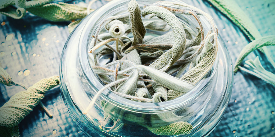 Miten salvia toimii ja mikä on oikea annostus? Miten salvia toimii ja mikä on oikea annostus?