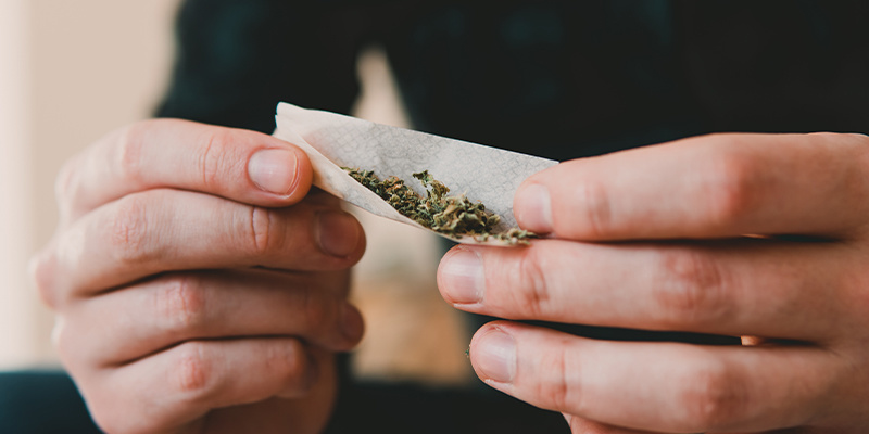 Tasapainon löytäminen kannabiksen kanssa Tasapainon löytäminen kannabiksen kanssa