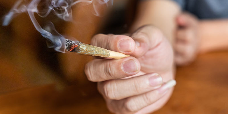 Kannabiksen vaikutusten ymm&auml;rt&auml;minen