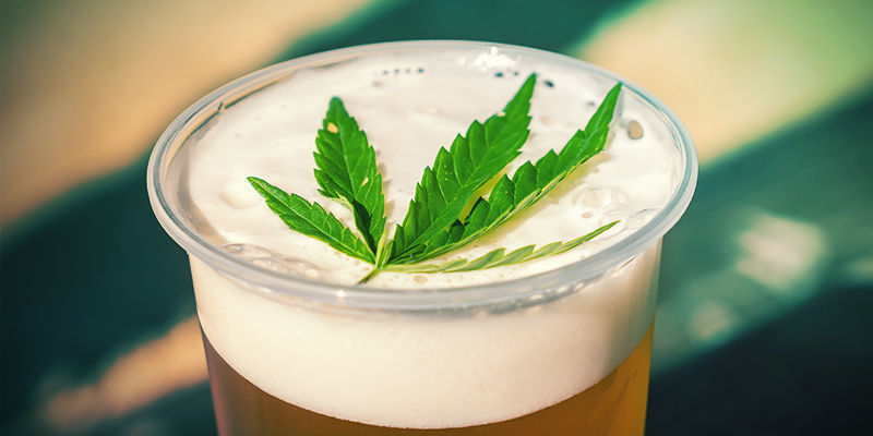 Panimalla kannabisalkoholia Brew Cannabis Alcohol