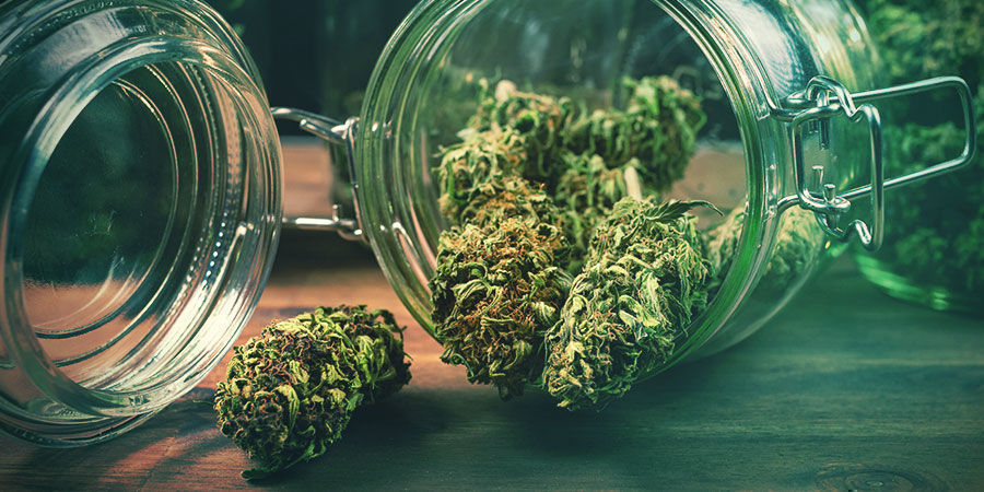 Miten säilytän kannabikseni?