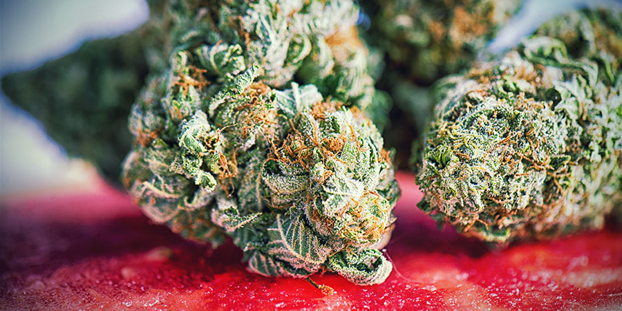 PARHAAT KANNABISLAJIKKEET MEDITAATIOON