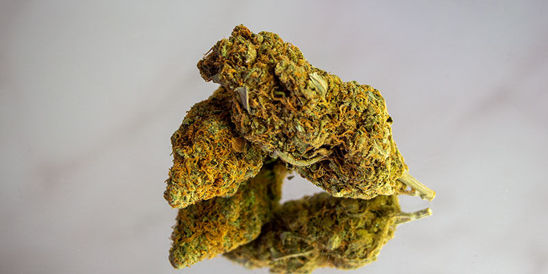 Kokeile korkean THC:n lajikkeita Kokeile korkean THC:n lajikkeita