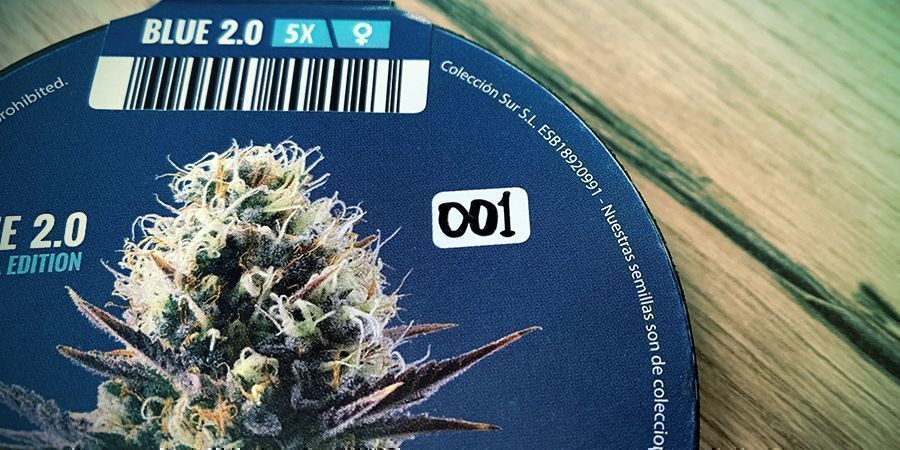 MIKÄ ON KANNABIA SEED COMPANY?