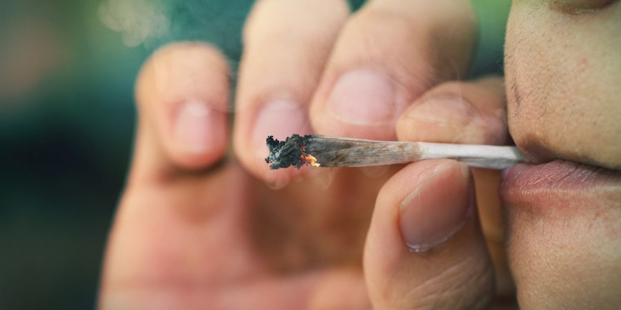 25 %+: biologinen hyötyosuus polttamalla Biologinen hyötyosuus: kannabiksen polttaminen